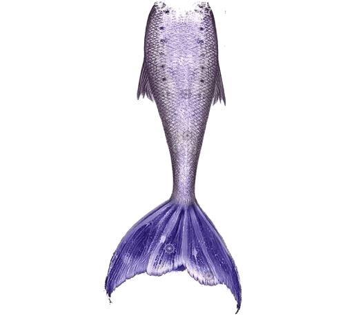 A purple mermaid's tail.