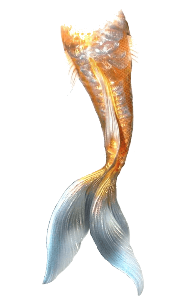 A bright orange mermaid's tail with specks of white and white fins.