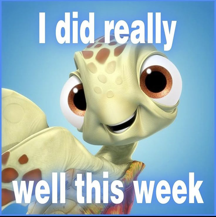 A young cartoon sea turtle's close up face in front of a sky blue background with large, white text saying 'I did really well this week'.